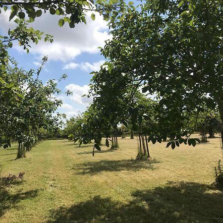 Vakantiehuizen 'T Centrum 오스트카펠 외부 사진