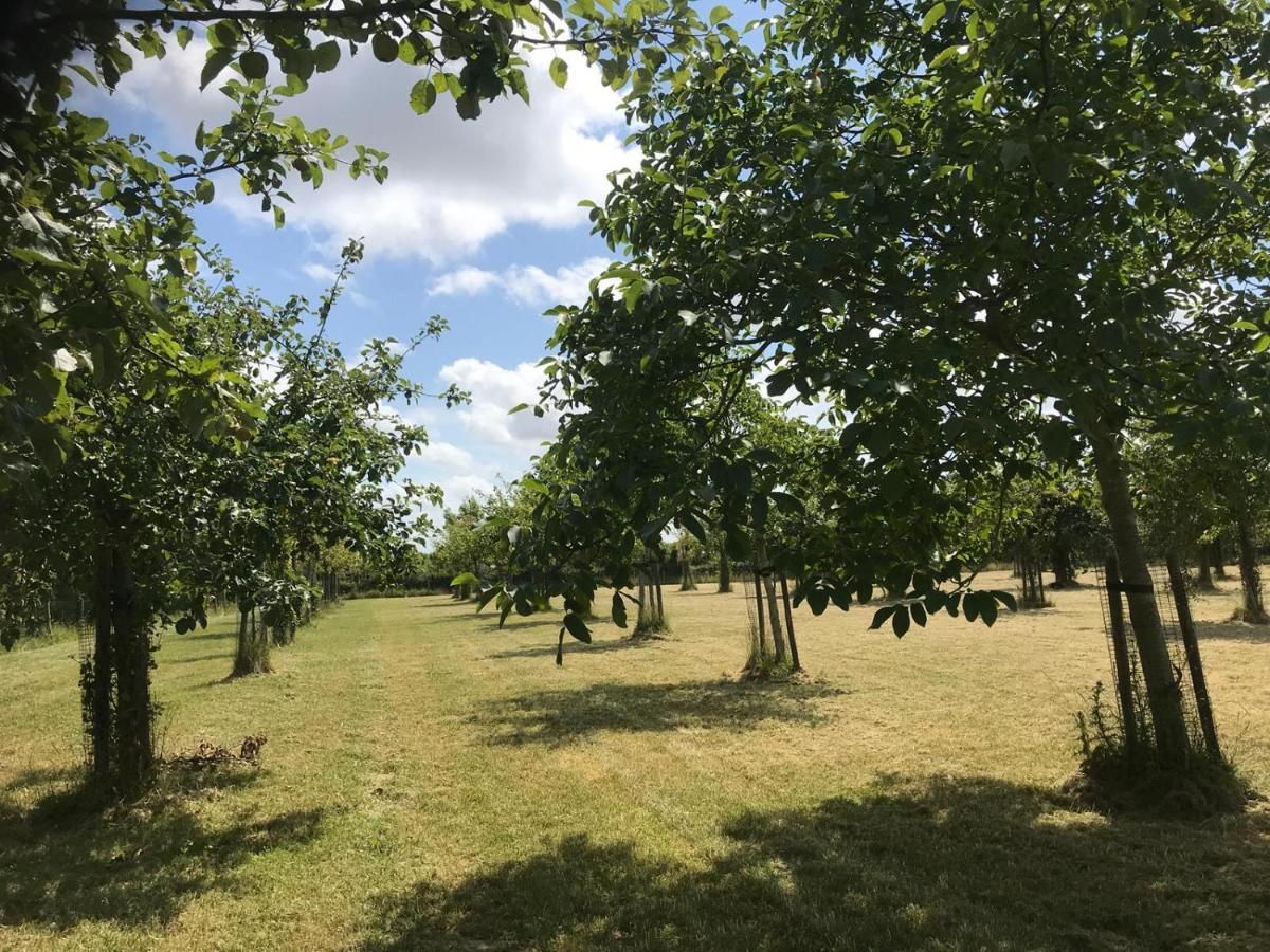 Vakantiehuizen 'T Centrum 오스트카펠 외부 사진
